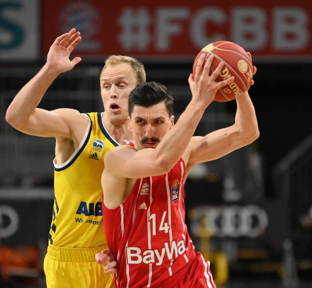 的持续成长 的持续成长