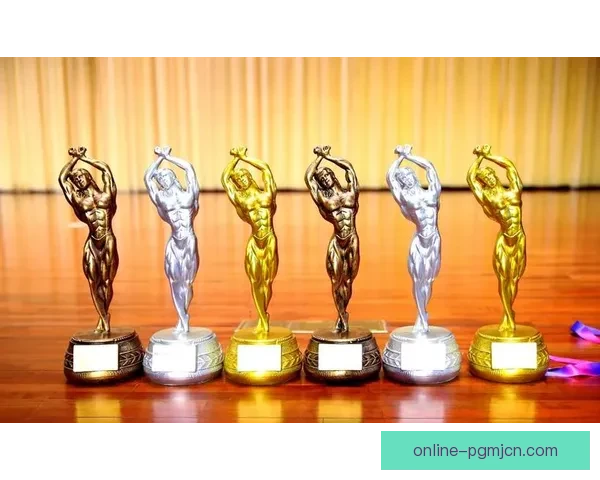 全国健身比赛冠军揭晓，精彩竞技风采展现新高度