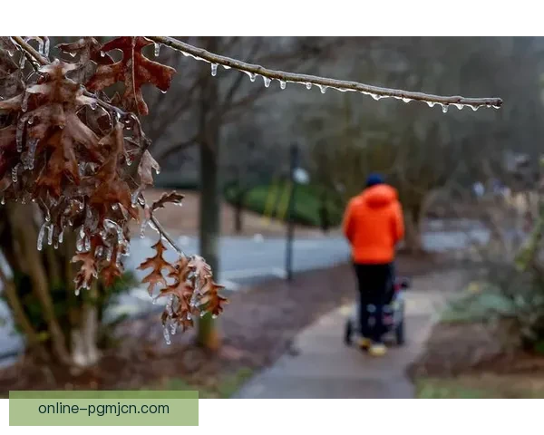 世界滑冰赛事：一场冰上的风暴