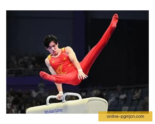 体操比赛精彩回顾：谁获得冠军？