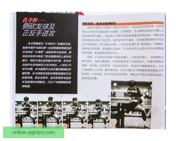乒乓球数据分析：洞悉技战术，挖掘胜负关键