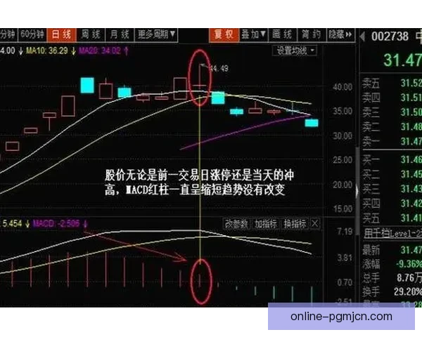 射击投注技巧大揭秘,赢钱秘籍一网打尽 射击投注技巧大揭秘,赢钱秘籍一网打尽