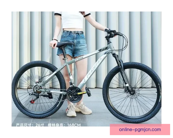 探讨山地车排名：挑选最佳山地车的关键因素