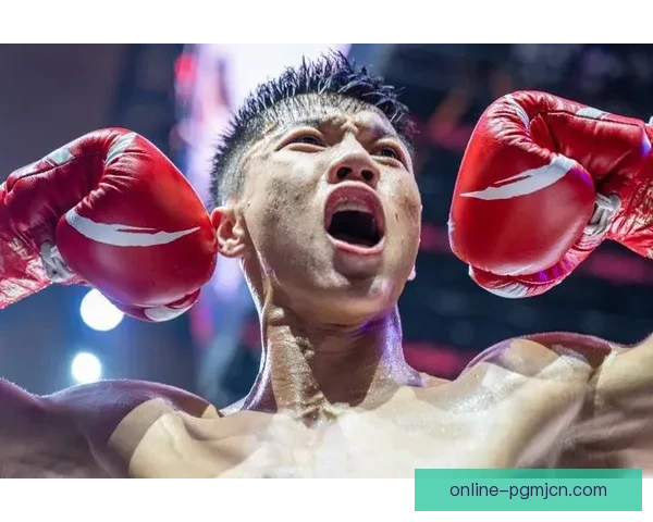 搏击狂潮：拳击传奇再现