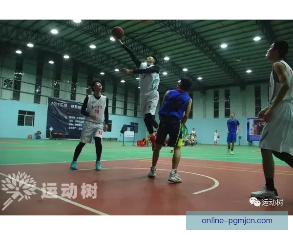 柔道实时比分查询，全方位掌握精彩赛事