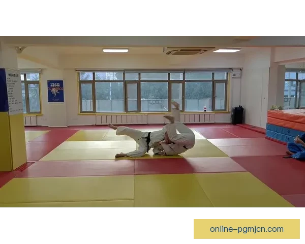 柔道训练方法探究与运用指南