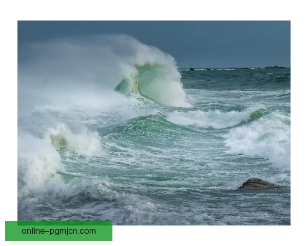 海浪飞涌，冲浪传奇：全球冲浪大奖赛掀起新浪潮