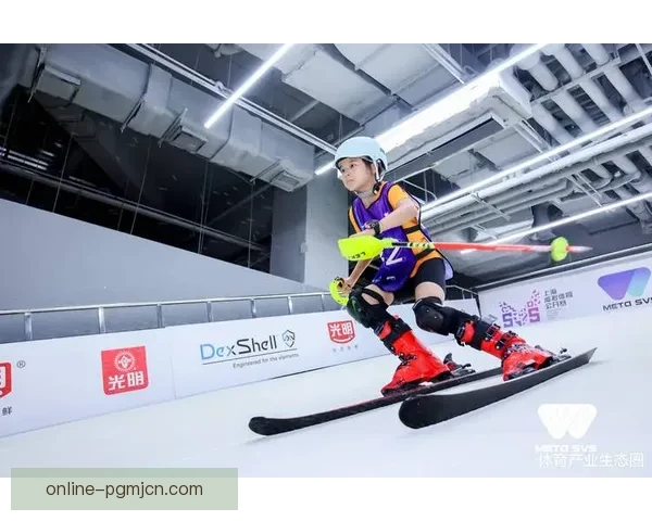 滑雪排名及技术分析：冠军选手，赛事成绩与技术要点揭秘