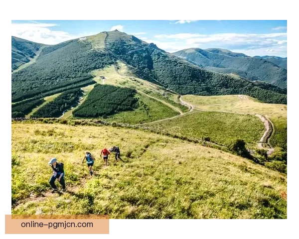 登山赛事如何预测？