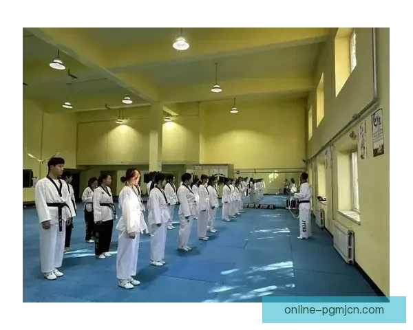 跆拳道教学视频全程解析，零基础入门到高手进阶的必备指南