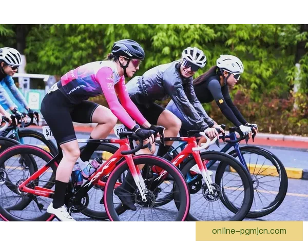 骑行盛宴：全球自行车联赛巅峰对决