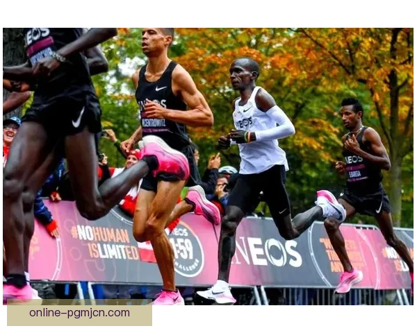 马拉松教学视频：挑战极限，奔跑无惧